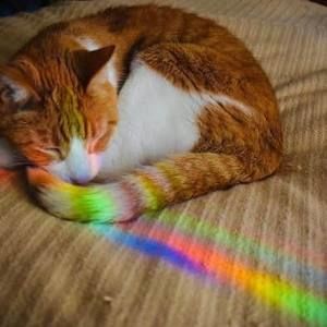 Meet your Posher, Lynn